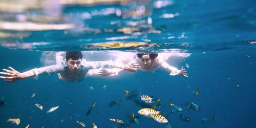 屬火 取名 屬火 取名