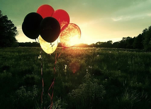 狗狗取名代表幸福嗎女孩